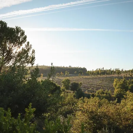 Landhuis I Dao Casas Da Fraga São Gemil