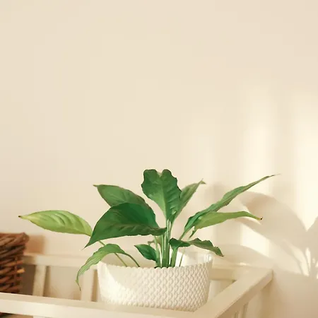 Landhuis I Dao Casas Da Fraga