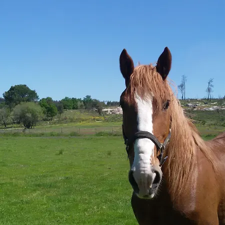 Landhuis I Dao Casas Da Fraga São Gemil