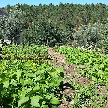 I Dao Casas Da Fraga Landhuis São Gemil