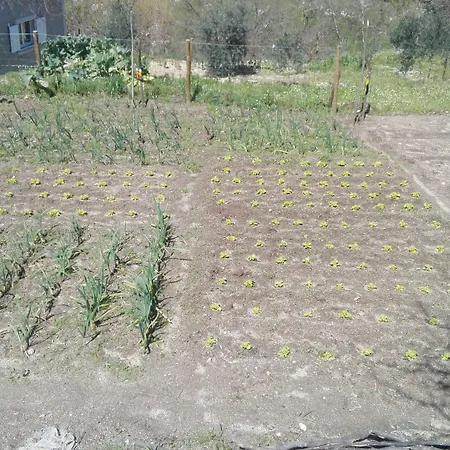 Landhuis I Dao Casas Da Fraga *