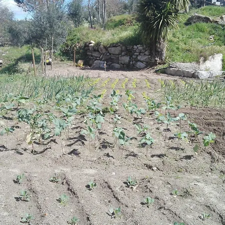 I Dao Casas Da Fraga * São Gemil