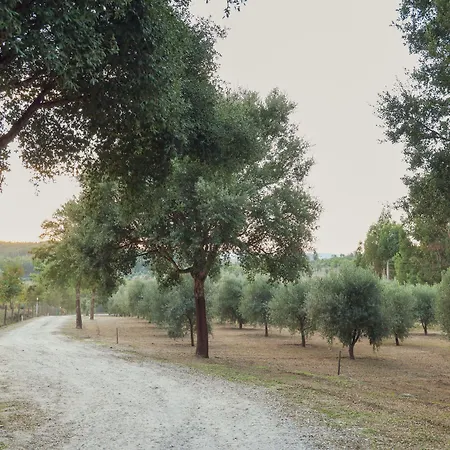 Landhuis I Dao Casas Da Fraga São Gemil