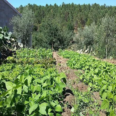 I Dao Casas Da Fraga *