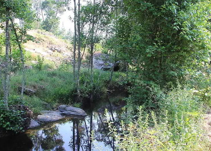 Casa de Campo I Dão Casas Da Fraga *