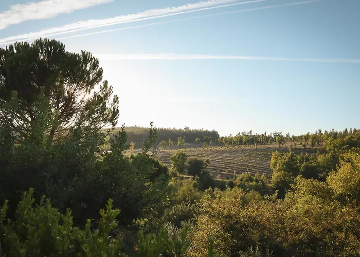 Casa de Campo I Dão Casas Da Fraga São Gemil