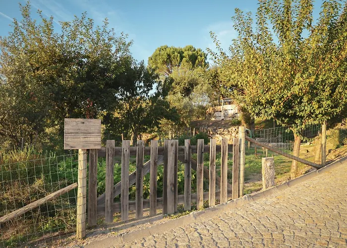 Casa de Campo I Dão Casas Da Fraga