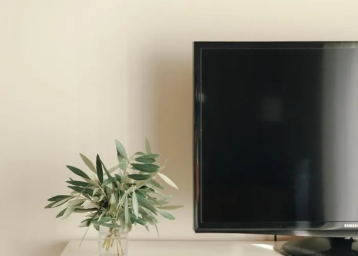 I Dão Casas Da Fraga Casa de Campo São Gemil