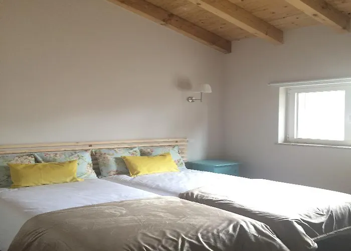 Casa de Campo I Dão Casas Da Fraga