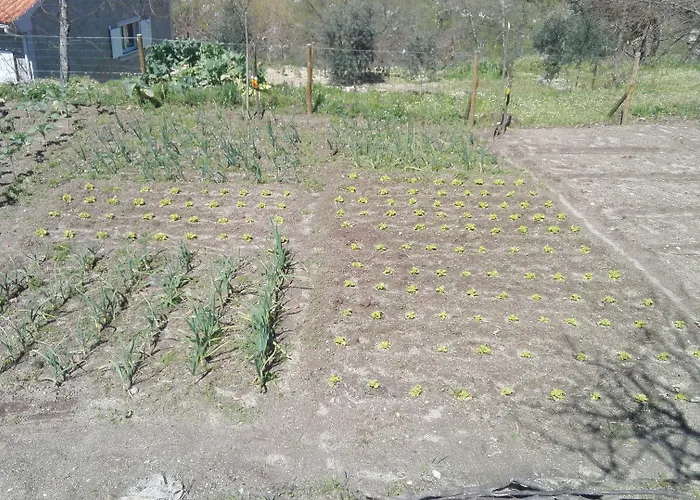 Casa de Campo I Dão Casas Da Fraga *