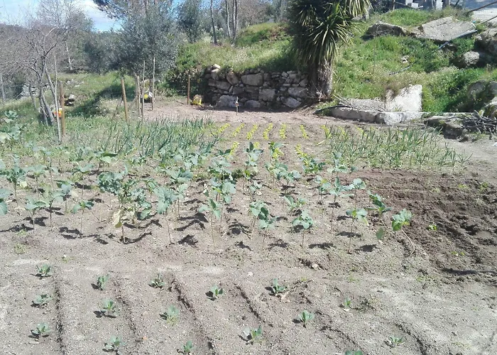 I Dão Casas Da Fraga * São Gemil