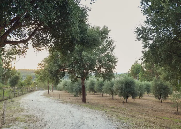 Casa de Campo I Dão Casas Da Fraga São Gemil