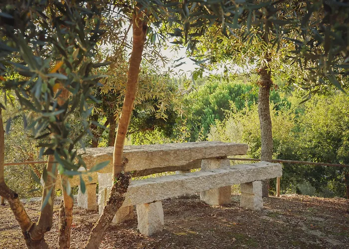 I Dão Casas Da Fraga Casa de Campo