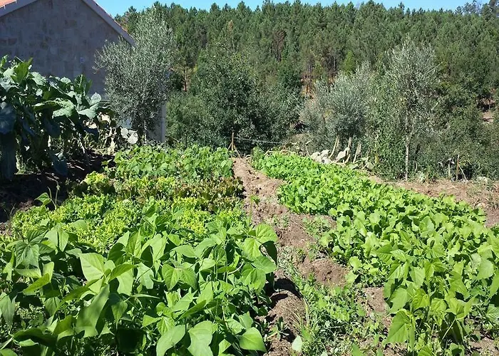 I Dão Casas Da Fraga *